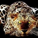 Uživatelský avatar